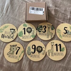 Wooden Baby Milestone Discs - Jungle Animal Set
